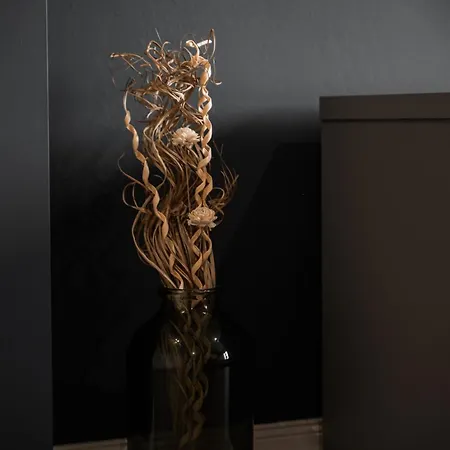 Skylark - Toronto Penthouse With Jacuzzi & Mountain View Braşov