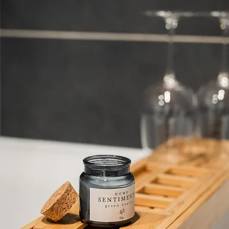 Skylark - Toronto Penthouse With Jacuzzi & Mountain View * Braşov