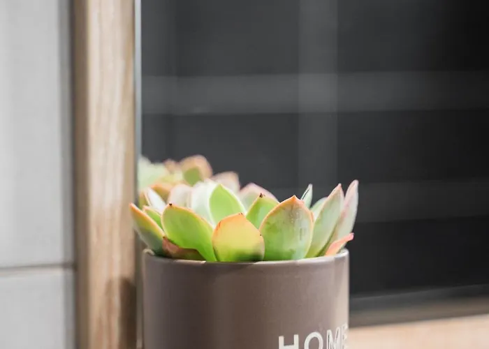 Διαμέρισμα Skylark - Toronto Penthouse With Jacuzzi & Mountain View *