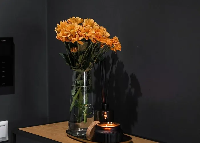 Διαμέρισμα Skylark - Toronto Penthouse With Jacuzzi & Mountain View *