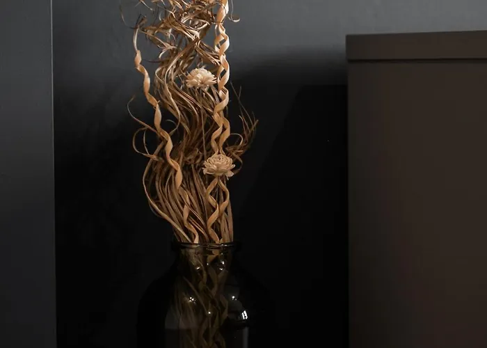 Skylark - Toronto Penthouse With Jacuzzi & Mountain View Μπρασόβ